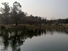 -两河城市森林公园