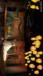 -三色锦婚礼定制