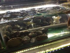 鲍鱼-覃记海鲜美食餐厅