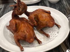 -鸽鸟轩(石岐店)