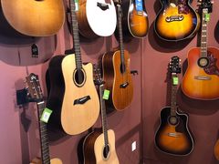 -柏斯琴行(汾阳店)