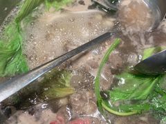 -洪氏嗨捞·猪肚鸡火锅(阳光天地店)