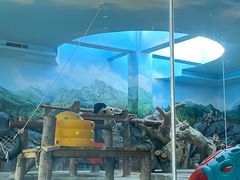 -武汉动物园