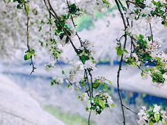 -海棠花溪(元大都城垣遗址公园)