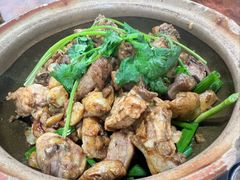 -华仔土鸡店(南洲分店)