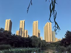 -木塔寺遗址生态公园