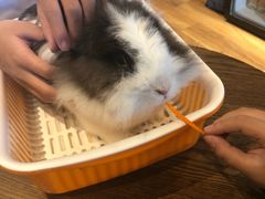 -藦茜花园宠物主题亲子互动体验馆(国顺东路店)