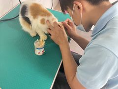 -艾贝尔宠物医院 ·中兽医·宠保定点(北门桥店)