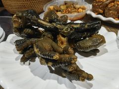 -老号尤兔头(幸福店)