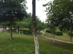 -眉山湿地公园(东坡区)