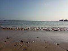 -东郊椰林