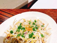 芽菜鸡-ICC PUDU