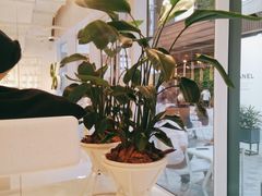-% Arabica阿拉比卡咖啡(前滩太古里店)
