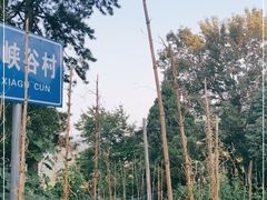 -燕子河大峡谷天坑仙境