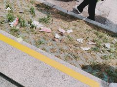 -观潮胜地公园