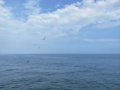 -海驴岛(荣成市)