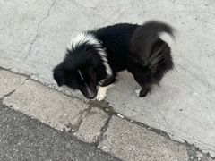 -呼吸森林·生态农庄农家乐私房菜