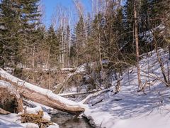 -峡谷浮石林景区