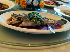 -大中华希尔顿酒店·兰亭潮中餐厅·粤菜