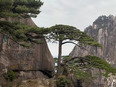 -黄山风景区