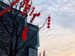 -洋湖国家湿地公园