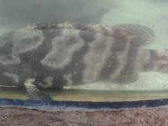 -鸿通城购物中心