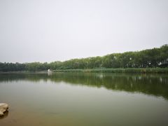 -大兴滨河森林公园