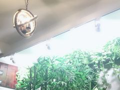 -万记麻辣烫国展总店