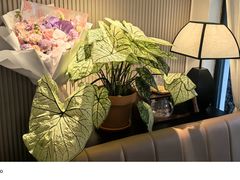 -LouisTime路易时光(蕴川路店)