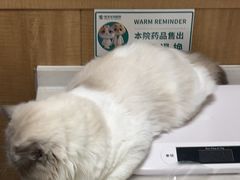 -瑞派宠物医院·24h·骨外科·皮肤科·全科宠物医疗转诊中心(沈阳浑南院)