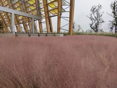 -中国天府农业博览园