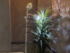 -施奈儿.洗头頭療.按摩SPA.采耳(上梅林店)