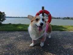 -上海月湖雕塑公园