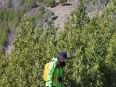 -阳台山自然风景区