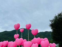 -西涌国际滨海旅游区