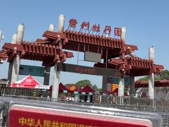 -曹州牡丹园