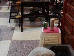 大堂-星鸿社重庆老火锅(燃灯寺分店)