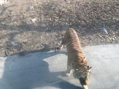 -西安秦岭野生动物园