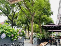 -新蝶变皮肤管理中心