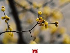 -山东师范大学(千佛山校区)