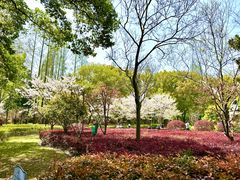 -徐家汇源景区-衡山公园