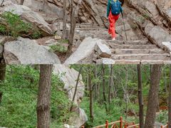 -大岭沟猕猴桃谷风景区