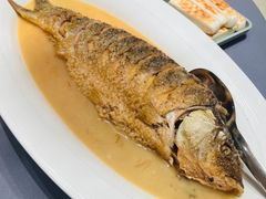-阿庄新豫菜(航海东路店)