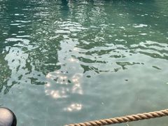-大鹅岛绿色生态美食园