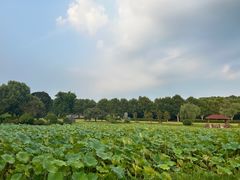 -宜兴龙背山森林公园