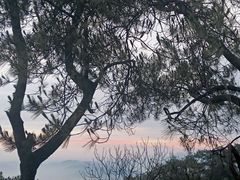 -缙云山景区