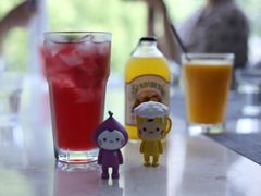 茉莉黑枸杞茶-Future&Kitchen