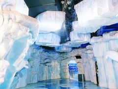 -芜湖新华联大白鲸海洋公园