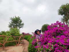 -元谋土林景区(物茂土林)