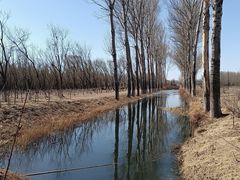-东郊湿地公园